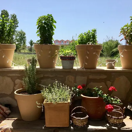 Garden Village & Apartment *